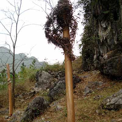 Jiuxian 4 Alt - 3,00m